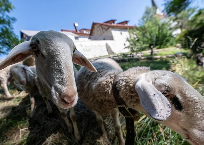 Appartamento Meznarija *